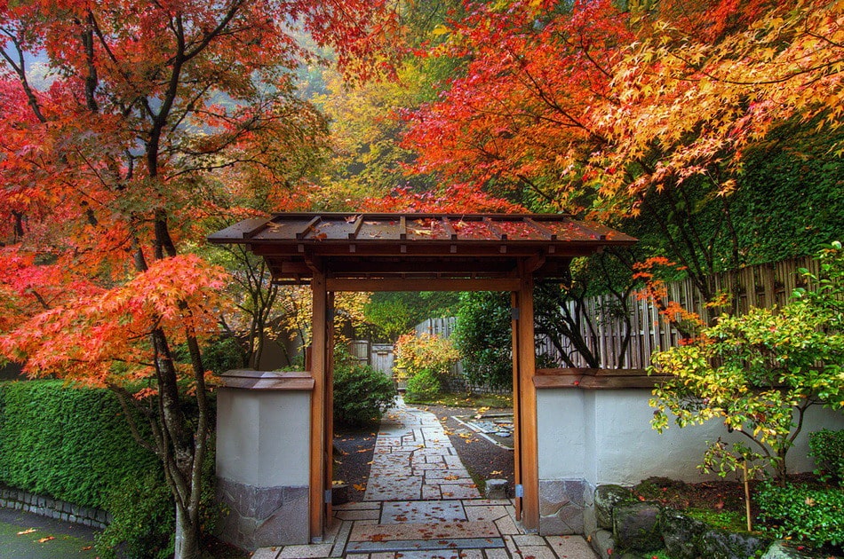 Японский сад и 6 Растений для создания традиционного пейзажа